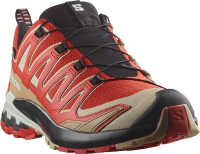 Salomon XA Pro 3D V9 GTX Traillaufschuhe