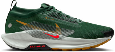 Nike Pegasus Trail 5 GTX Traillaufschuhe