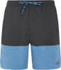 Protest Prtfreddie Beachshort