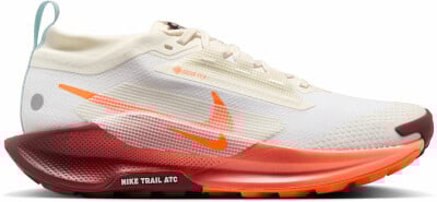 Nike Pegasus Trail 5 GTX Traillaufschuhe