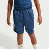 Nike DF TRPHY23 HBR Shorts