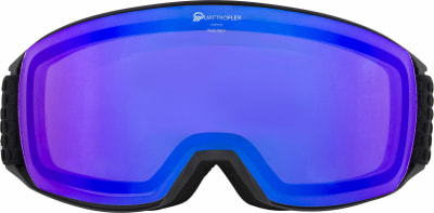 Alpina Nakiska Q Skibrille
