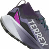 adidas Terrex Agravic GTX Trailrunningschuhe