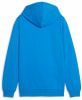 Puma teamGOAL Casuals Hoodie