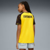 Puma BVB Home Jersey Replic Fantrikot