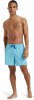 Quiksilver Surfsilk Badeshorts