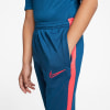 Nike Dri-FIT Academy Trainingshose