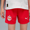 Puma FC Red Bull Salzburg 25/26 Shorts