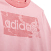 adidas Essentials Jogginganzug
