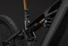 Detail des Mountainbike-Hinterbaus mit Fox-Dämpfer.