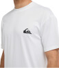 Quiksilver Everday Surf T- Shirt kurzarm, UPF 50