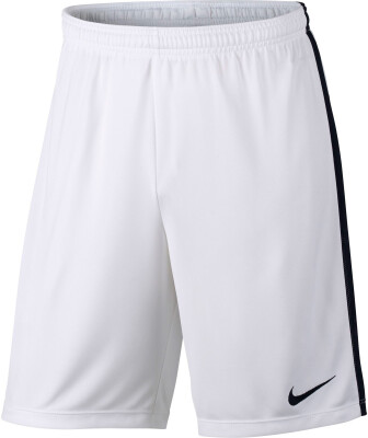 Nike Dry Short Acdmy