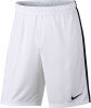 Nike Dry Short Acdmy
