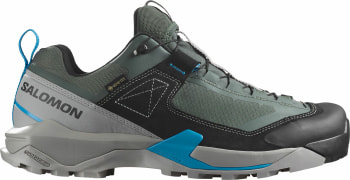 Salomon X Ultra Alpine GTX Outdoorschuhe