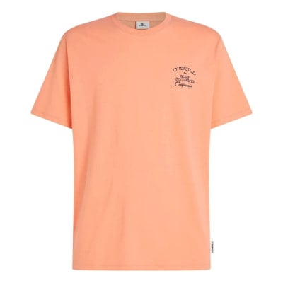 O'Neill Pán. triČko Beach Chest Print