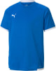 Puma Teamliga Trainigstrikot