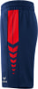 Erima Six Wings Shorts