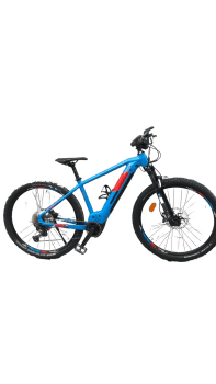 Genesis E-Pro MTB 2.2 LTD