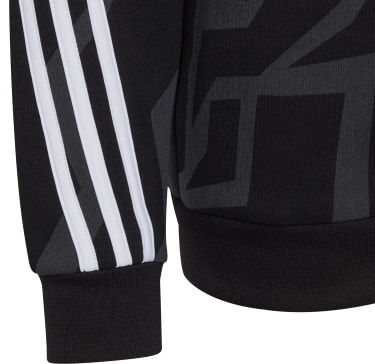 Future Icons 3-Streifen Graphic Hoodie