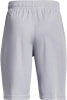 Under Armour Prototype 2.0 Wordmark Shorts