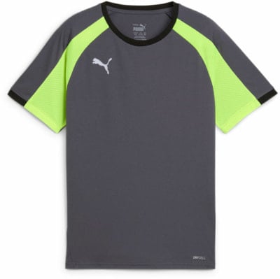 Puma IndividualLIGA T-Shirt