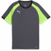 Puma IndividualLIGA T-Shirt