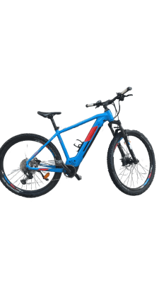 Genesis E-Pro MTB 2.2 LTD