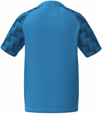 Erima Evo Star Trikot Erima Evo Star Trikot
