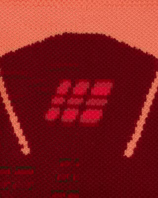 CEP Ski Thermo Tall4 Skistutzen