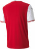 Puma Österreich 20/21 Fußballtrikot