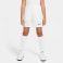 Academy 21 Trainingsshorts