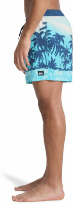 Quiksilver Everyday Badeshorts