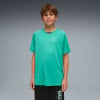 Puma Active Sports Poly B T-Shirt