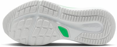 Nike Air Winflo 12 Laufschuhe