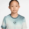 Nike Academy+ Fußballtrikot