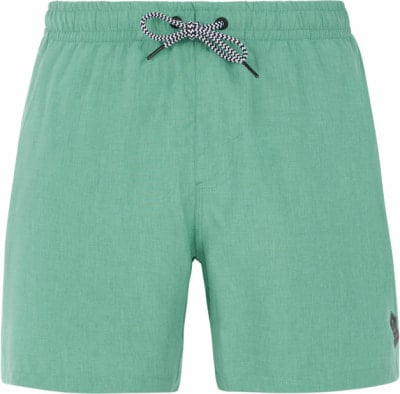 Protest Davey Badeshorts