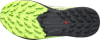 Salomon Sense Ride 5 GTX Traillaufschuhe