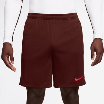 Herren-Shorts von Nike mit Logo auf dem Oberschenkel und weißem Streifen.