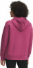Under Armour UNDER ARMOUR RIVAL FLC Shimmer Kapuzensweater