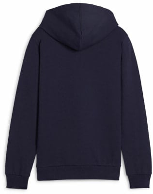 Puma teamGOAL Casuals Hoodie
