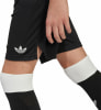 adidas Deutschland Anniversary Shorts