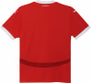 Puma ÖFB 2024 Heimtrikot