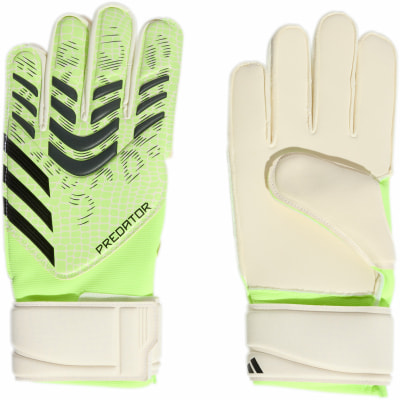 adidas Predator Match Torwarthandschuhe