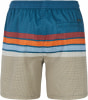 Protest Prtavik Badeshorts