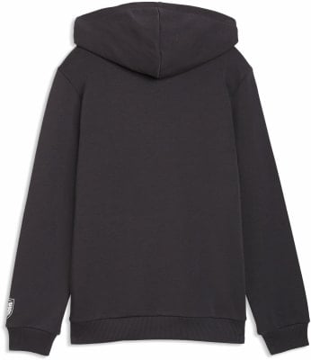 Puma ÖFB 2026 Culture Hoodie