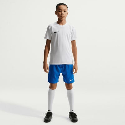 Nike Dri-FIT Park VIII Fußballtrikot
