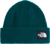 Warme dunkelgrüne Mütze mit The North Face Logo.