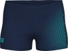 Arena Dim Light Swim Badehose lang