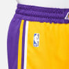 Nike NBA Los Angeles Lakers Icon Basketballshorts