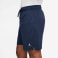 Jordan Sport Shorts